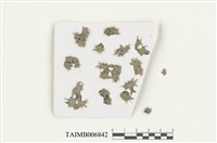 藏品(浮蘚)的圖片